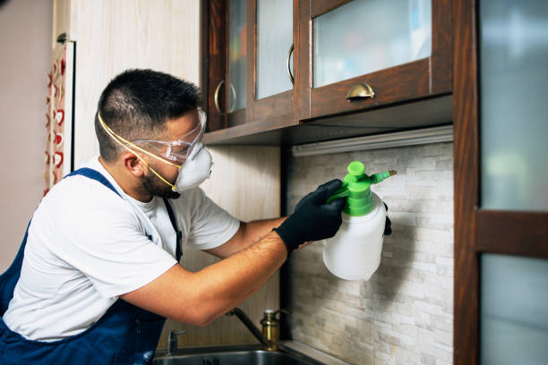 Best Pest Prevention Services  in Arapahoe, NE