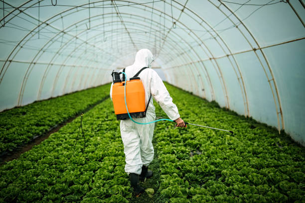 Best Pest Control Near Me  in Arapahoe, NE