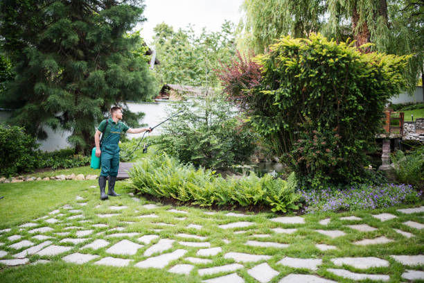 Best Pest Control Near Me  in Arapahoe, NE