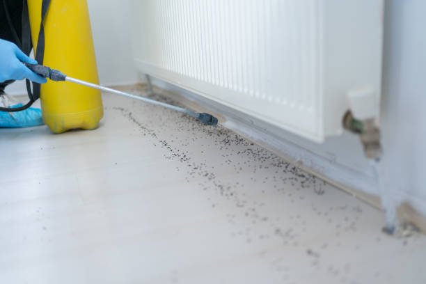 Best Emergency Pest Control  in Arapahoe, NE